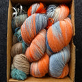 300g set hand-dyed sock yarn  s300-14