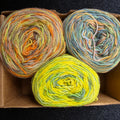300g set hand-dyed sock yarn  s300-11